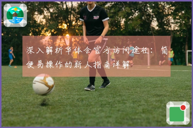 深入解析华体会官方访问途径：简便易操作的新人指南详解