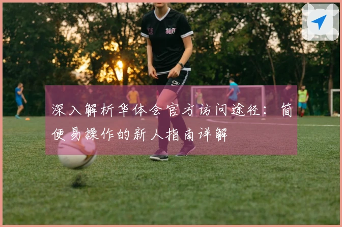 深入解析华体会官方访问途径：简便易操作的新人指南详解